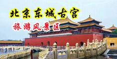 美女逼逼啊啊啊啊中国北京-东城古宫旅游风景区